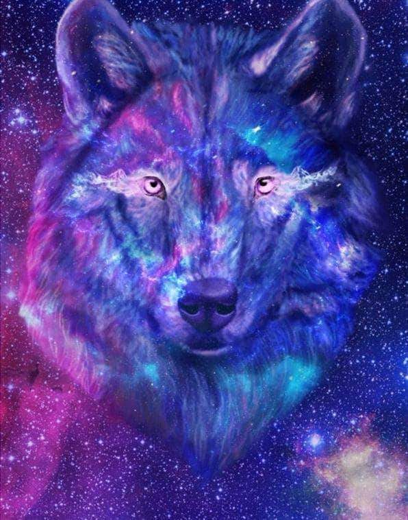 Featured image of post Galaxy Cool Wolf Pictures