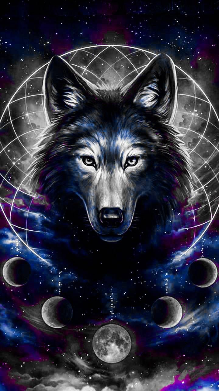 Featured image of post Galaxy Wolf Wallpapers